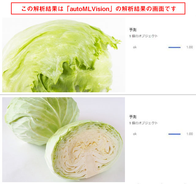 野菜への野菜以外のものの混入検出結果