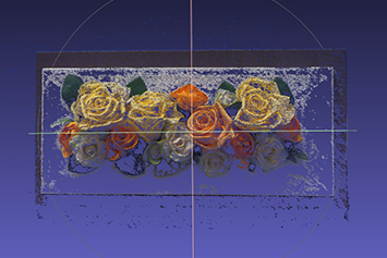 造花の置物の写真を使ったMSV処理結果の画像